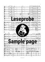 Beethoven, L v: Symphony No. 1 in C major Op. 21 op. 21 Product Image