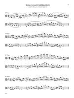 Protocol: A Guide To The Collegiate Audition Process for Viola Product Image