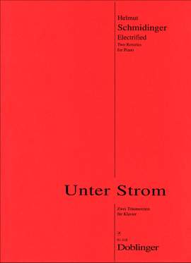Helmut Schmidinger: Unter Strom