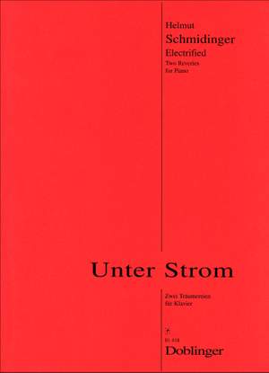 Helmut Schmidinger: Unter Strom