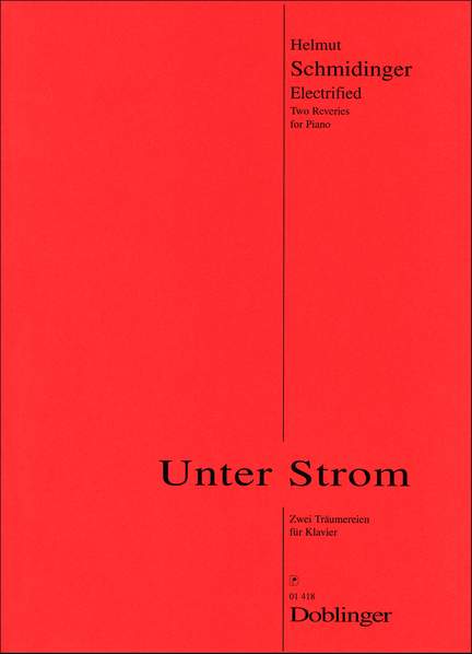 Helmut Schmidinger: Unter Strom