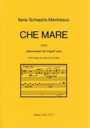 Schapira-Marinescu, I: Che Mare