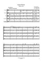 Johann Strauss II: Kaiser-Walzer op. 437 Product Image