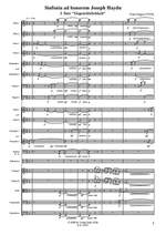 Surges, F: Sinfonia ad honorem Joseph Haydn Product Image