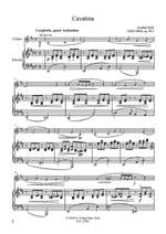 Raff, J J: Cavatina Product Image