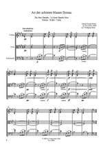 Johann Strauss II: An der schönen blauen Donau op. 314 Product Image