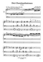 Grahl, K: Three Choral Meditations Product Image