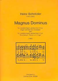 Schnitzler, H: Magnus Dominus