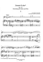 Spohr, L: Sonata D Major op. 115 Product Image