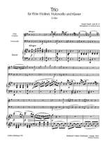 Haydn, J: Klaviertrio G-Dur Hob XV:15 Hob XV:15 Product Image