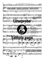 Weber: Clarinet Concerto No. 1 F minor op. 73 Product Image