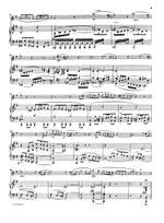 Schubert: Variations on the song ‚Trockne Blumen‘ D 802 [Op. post. 160] op. post. 160 D 802 Product Image