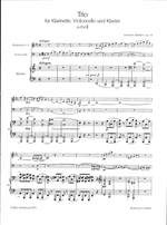 Brahms, J: Trio in A minor Op. 114 op. 114 Product Image