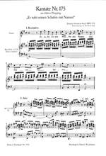 Bach, J S: Er rufet seinen Schafen mit Namen BWV 175 Product Image