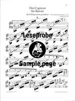 Mendelssohn: Complete Piano Works for two hands Band 2 Product Image