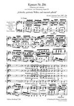 Bach, J S: Schleicht, spielende Wellen BWV 206 Product Image