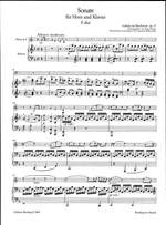 Beethoven, L v: Sonata in F major Op. 17 op. 17 Product Image