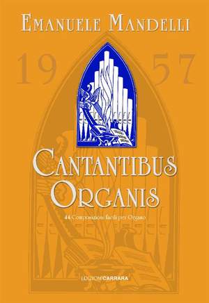 Mandelli, E: Cantantibus Organis Band 1