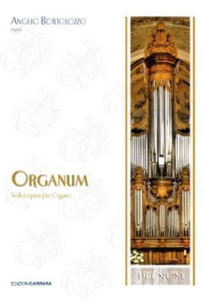 Bortolozzo, A: Organum