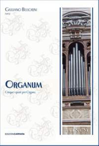 Bellorini, G: Organum