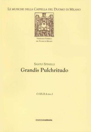 Spinelli, S: Grandis Pulchritudo