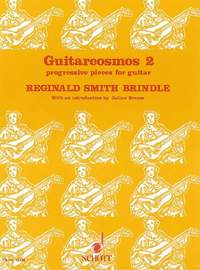 Smith Brindle, R: Guitarcosmos Vol. 2