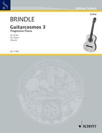 Smith Brindle, R: Guitarcosmos Vol. 3