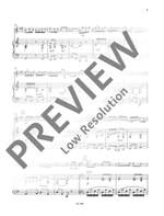 Juchem, D: Petite Suite Product Image