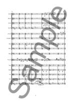 Anders Koppel: Concerto for Viola and Orchestra Product Image