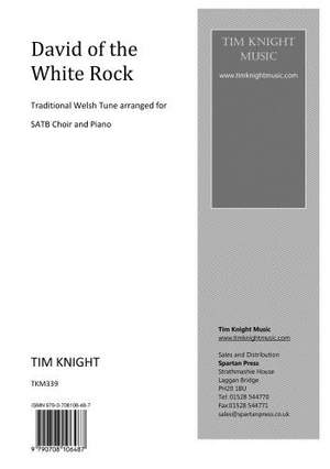 Knight: David Of The White Rock