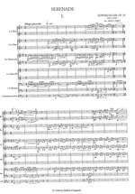 Elgar: Serenade Product Image