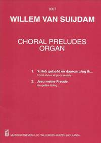 van Suydam: Willemsen Choral Preludes Volume 2