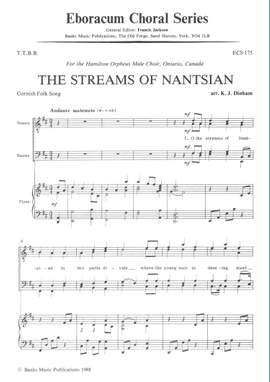 Dinham: Streams Of Nantsian