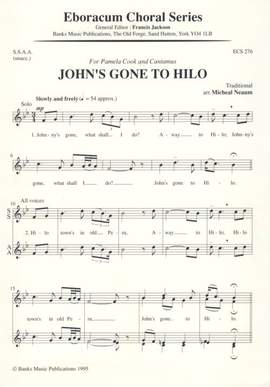 Neaum: John's Gone To Hilo