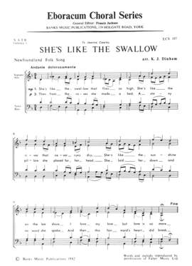 Dinham: She's Like The Swallow
