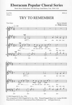 Schmidt: Try To Remember