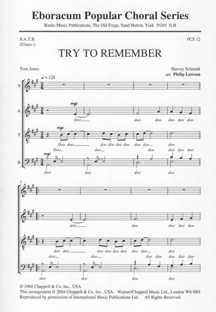 Schmidt: Try To Remember