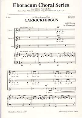 Arch: Carrickfergus