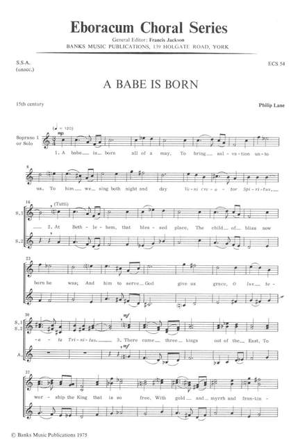 Lane: Babe Is Born, A