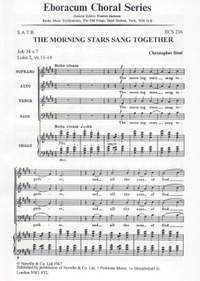 Steel: Morning Stars Sang Together, The