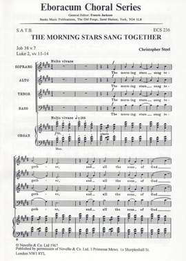 Steel: Morning Stars Sang Together, The