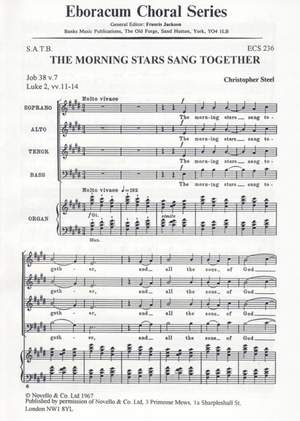 Steel: Morning Stars Sang Together, The