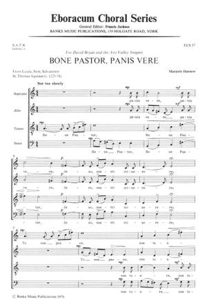 Harness: Bone Pastor Panis Vere