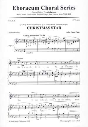 Case: Christmas Star