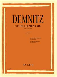 Demnitz: Studi elementari