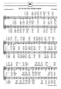 Böbel: Es ist ein Ros; Bodenschatz: Gelobet seist du