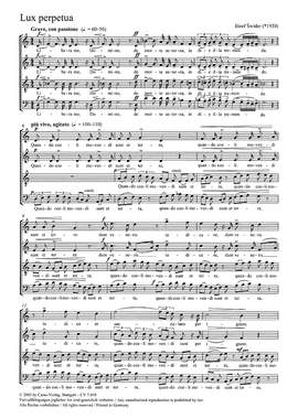 Swider: Lux perpetua