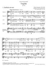 Schumann/Gottwald: Tragödie Product Image