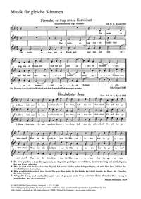 Du großer Schmerzensmann