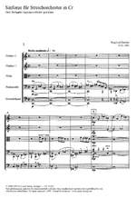 Barchet: Sinfonie für Streicher in C (C-Dur) Product Image